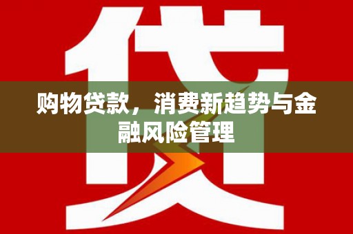 莎车购物贷款，消费新趋势与金融风险管理