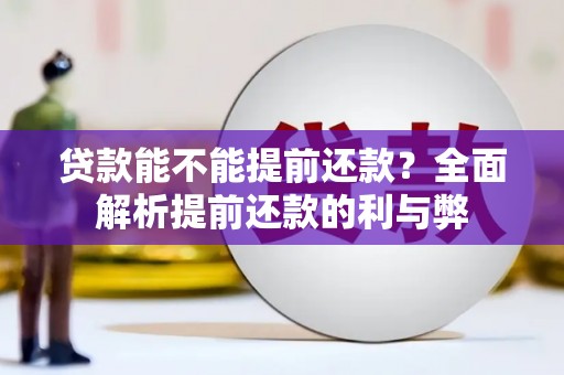 大武贷款能不能提前还款？全面解析提前还款的利与弊