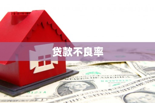 剑河贷款不良率
