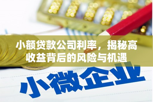 和田小额贷款公司利率，揭秘高收益背后的风险与机遇
