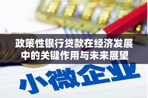 泗阳政策性银行贷款在经济发展中的关键作用与未来展望