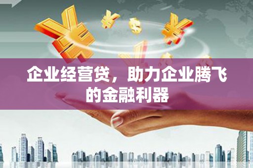 南平企业经营贷，助力企业腾飞的金融利器