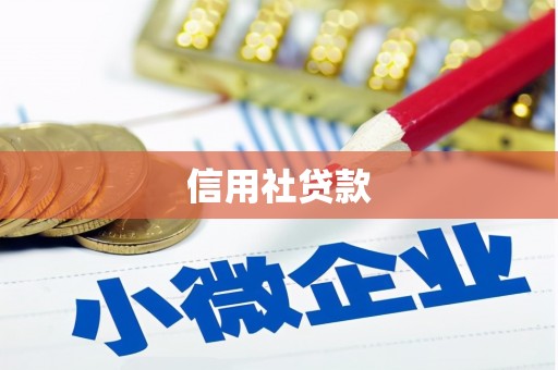 修文信用社贷款
