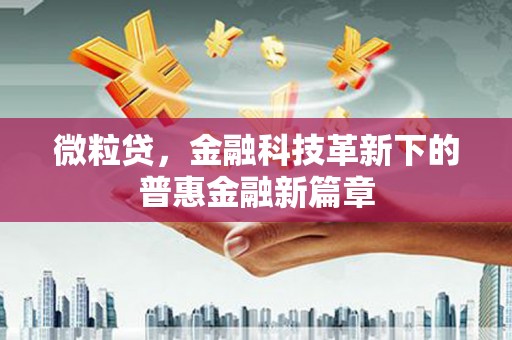 龙文微粒贷，金融科技革新下的普惠金融新篇章