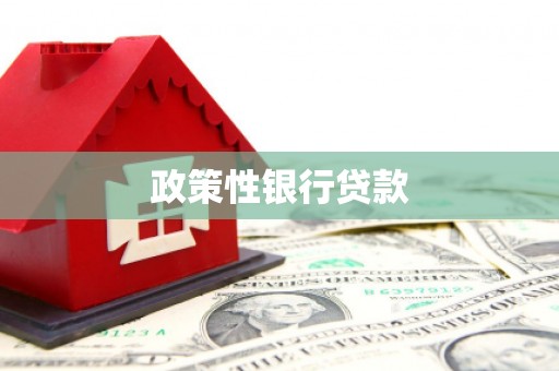 承德政策性银行贷款