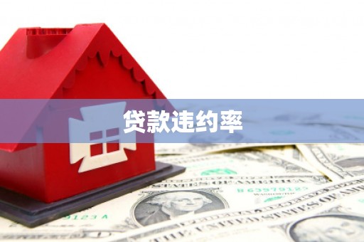 双滦贷款违约率