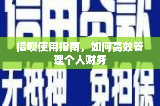 徽州借呗使用指南，如何高效管理个人财务