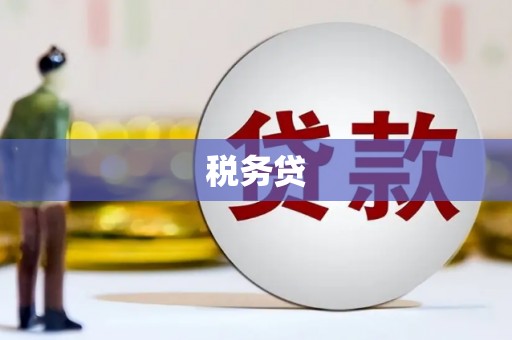峨边税务贷