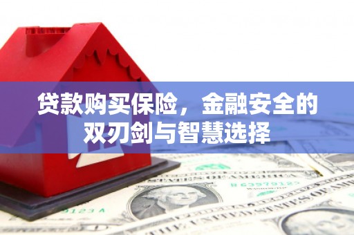 湘东贷款购买保险，金融安全的双刃剑与智慧选择