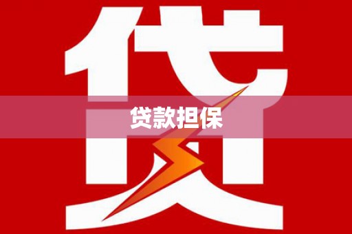 南陵贷款担保