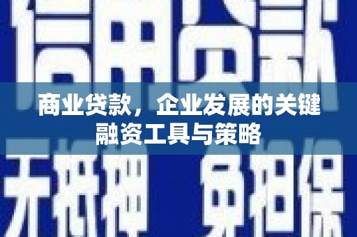 大余商业贷款，企业发展的关键融资工具与策略