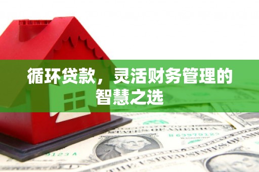 狮子山循环贷款，灵活财务管理的智慧之选