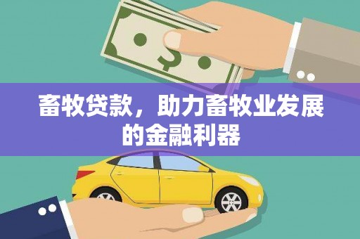 青铜峡畜牧贷款，助力畜牧业发展的金融利器