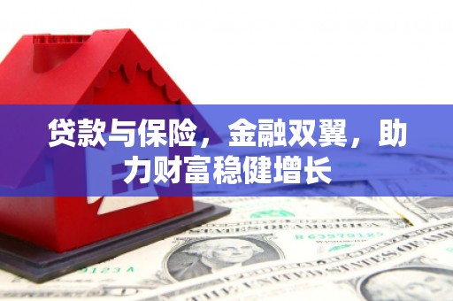 枞阳贷款与保险，金融双翼，助力财富稳健增长