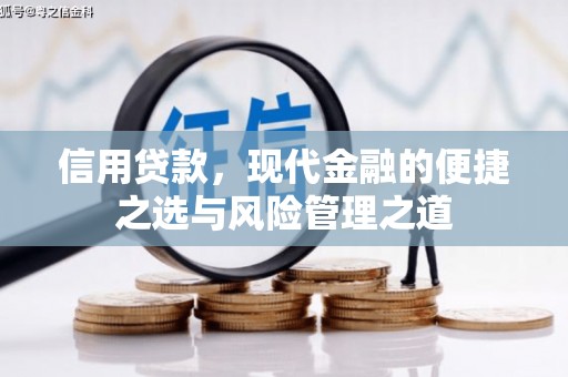 槐荫信用贷款，现代金融的便捷之选与风险管理之道