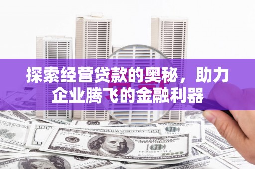 海原探索经营贷款的奥秘，助力企业腾飞的金融利器