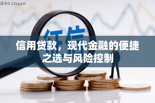 武侯信用贷款，现代金融的便捷之选与风险控制