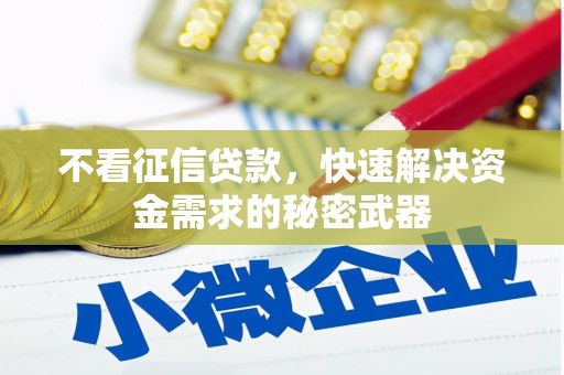 锡林郭勒盟不看征信贷款，快速解决资金需求的秘密武器