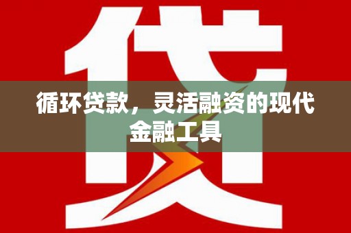 乐清循环贷款，灵活融资的现代金融工具