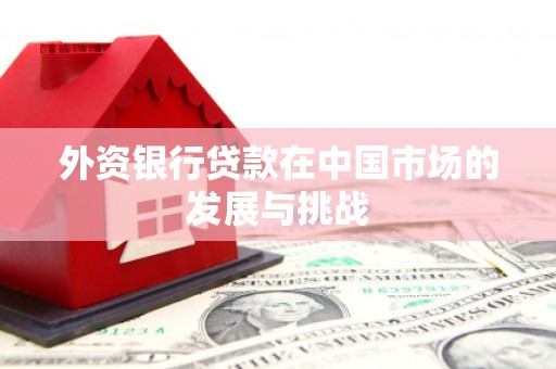 鸡泽外资银行贷款在中国市场的发展与挑战