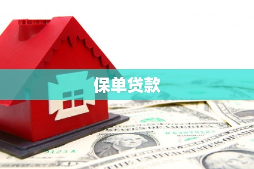 乌恰保单贷款