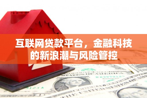 普湾新区互联网贷款平台，金融科技的新浪潮与风险管控