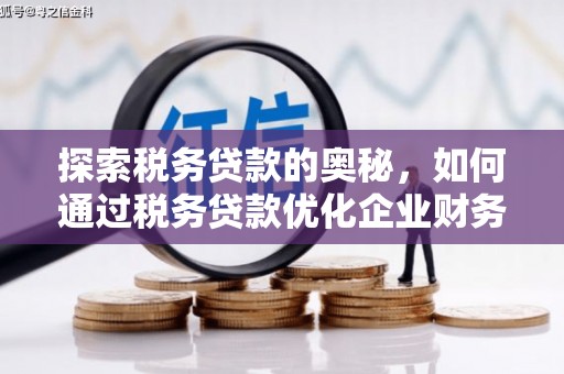 君山探索税务贷款的奥秘，如何通过税务贷款优化企业财务