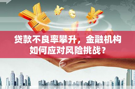 称多贷款不良率攀升，金融机构如何应对风险挑战？