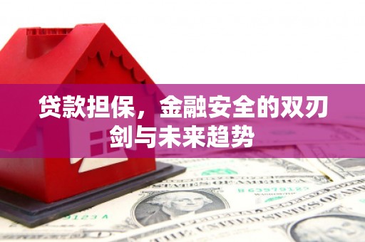 成武贷款担保，金融安全的双刃剑与未来趋势