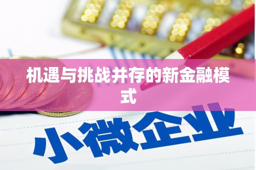 周宁机遇与挑战并存的新金融模式