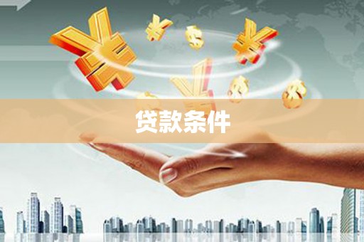 尚义贷款条件