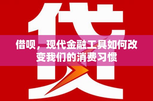 双牌借呗，现代金融工具如何改变我们的消费习惯