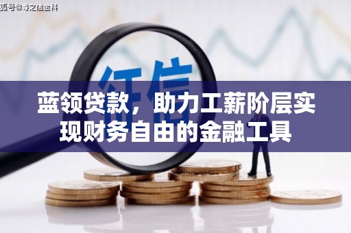 新河蓝领贷款，助力工薪阶层实现财务自由的金融工具