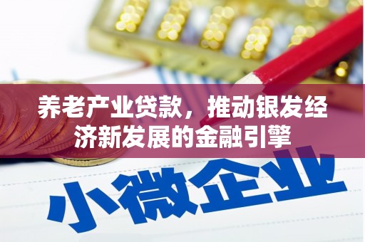雄县养老产业贷款，推动银发经济新发展的金融引擎