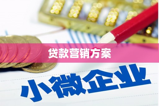 岫岩贷款营销方案