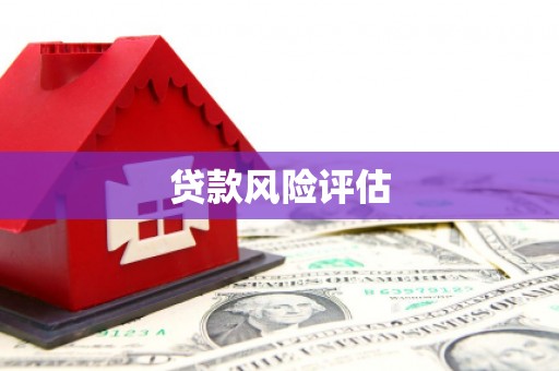 秦淮贷款风险评估