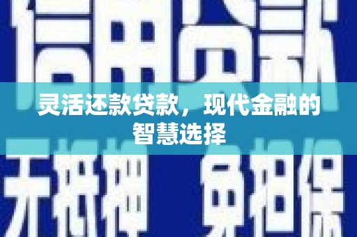 苍梧灵活还款贷款，现代金融的智慧选择