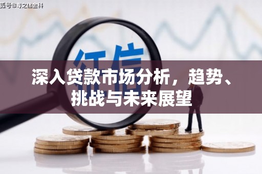 雨山深入贷款市场分析，趋势、挑战与未来展望