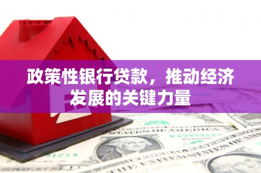 东至政策性银行贷款，推动经济发展的关键力量