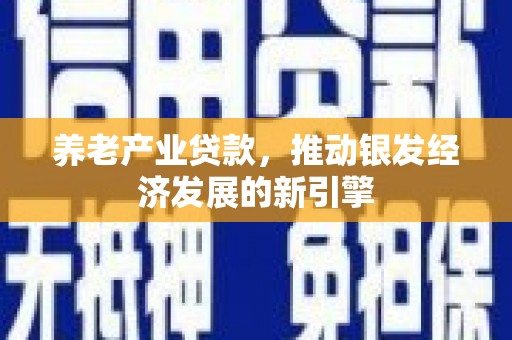 卢龙养老产业贷款，推动银发经济发展的新引擎