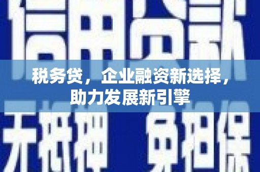 攀枝花税务贷，企业融资新选择，助力发展新引擎