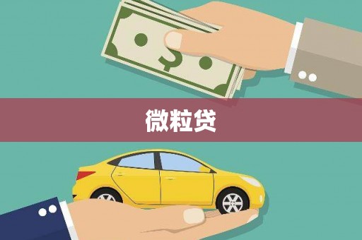 芮城微粒贷