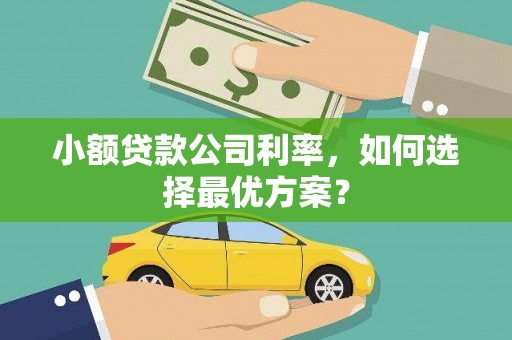 兴宁小额贷款公司利率，如何选择最优方案？