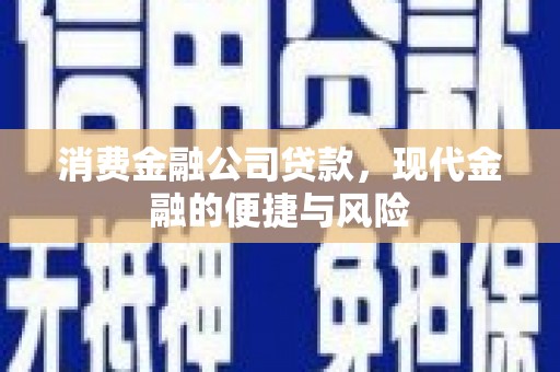务川消费金融公司贷款，现代金融的便捷与风险