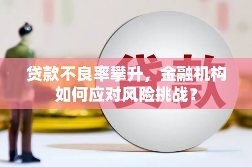 江南贷款不良率攀升，金融机构如何应对风险挑战？