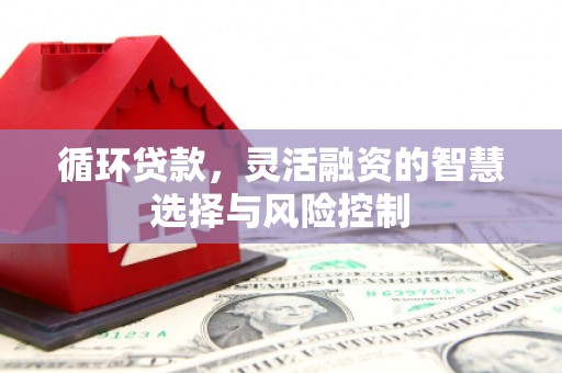 独山循环贷款，灵活融资的智慧选择与风险控制