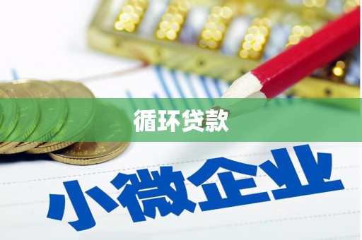 郸城循环贷款