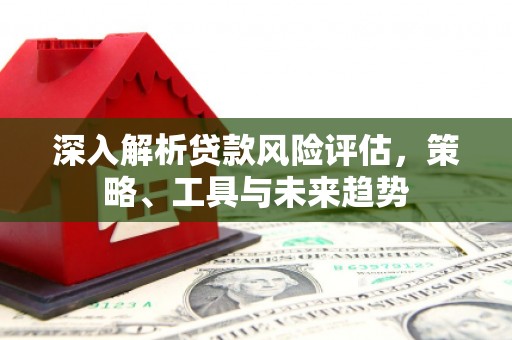 黔西深入解析贷款风险评估，策略、工具与未来趋势
