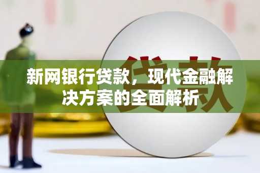 海端新网银行贷款，现代金融解决方案的全面解析