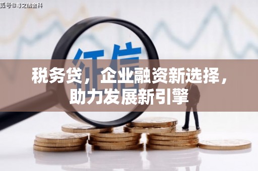 兰屿税务贷，企业融资新选择，助力发展新引擎
